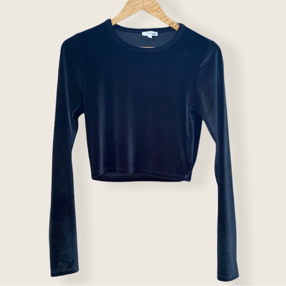 Wilfred free Aritzia velvet long sleeve crop top